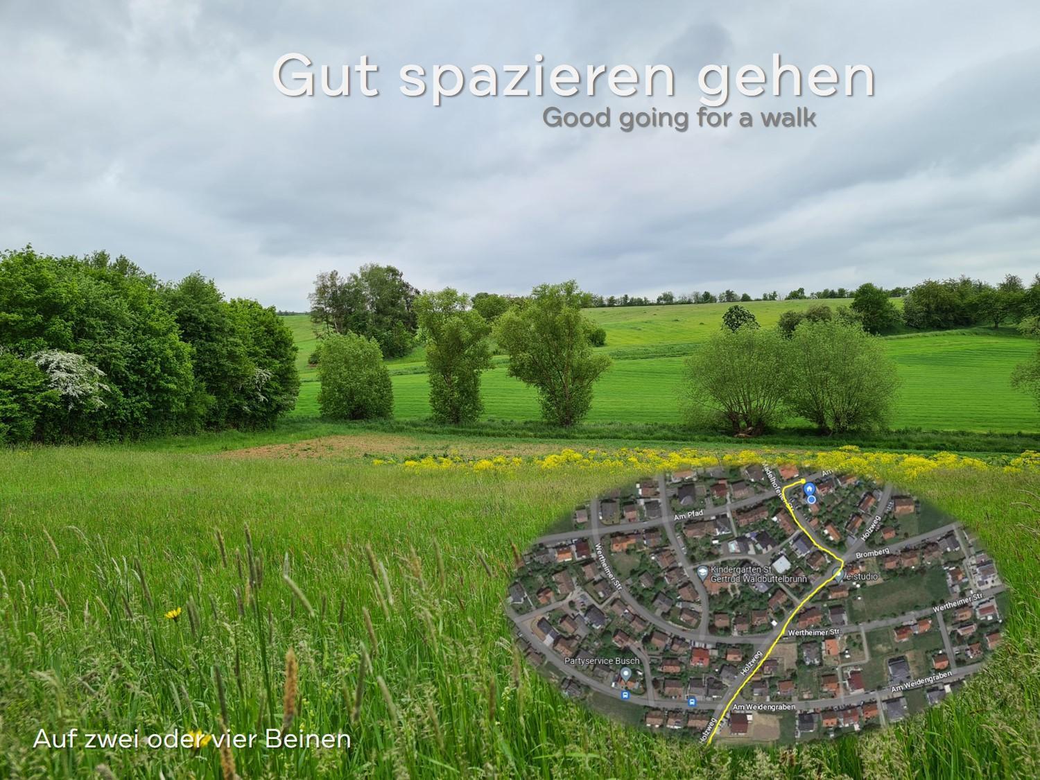 Lichtdurchflutetes Zimmer - Marienberg Waldbuttelbrunn Екстер'єр фото